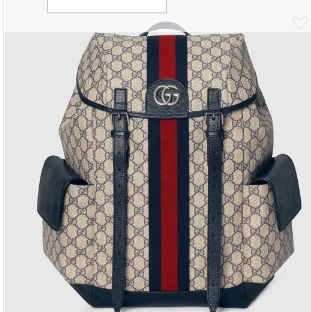 Gucci Ophidia GG medium backpack 598140 Blue