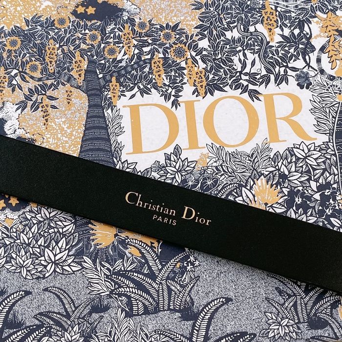 Dior Belt 20MM CDB00017