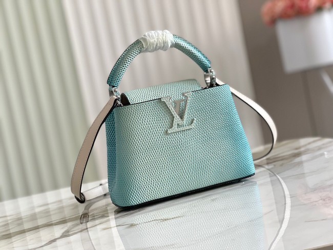 Louis Vuitton CAPUCINES MINI M59268 sky blue