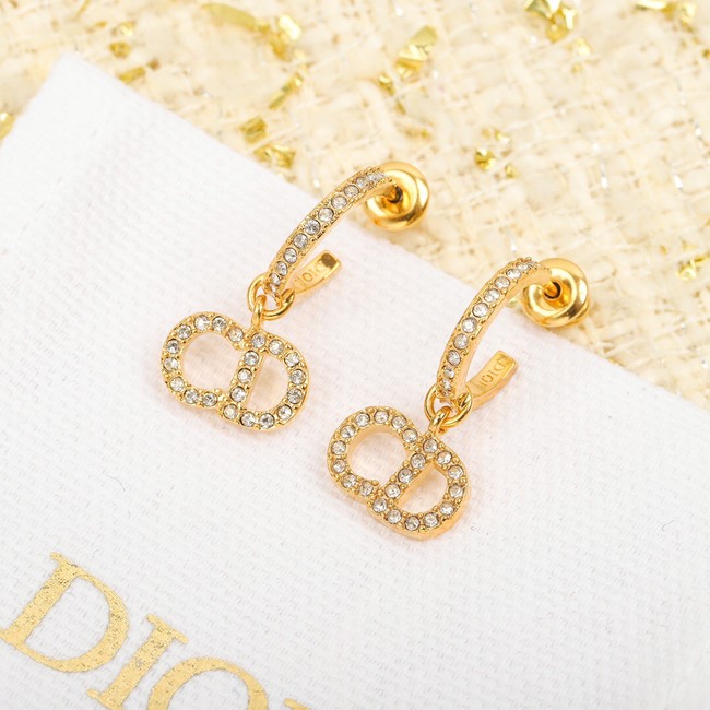 Dior Earrings CE8053