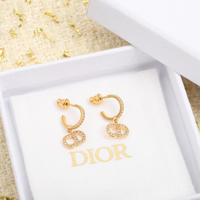 Dior Earrings CE8053