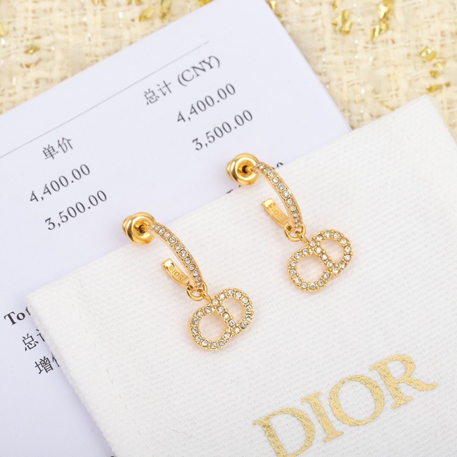 Dior Earrings CE8053