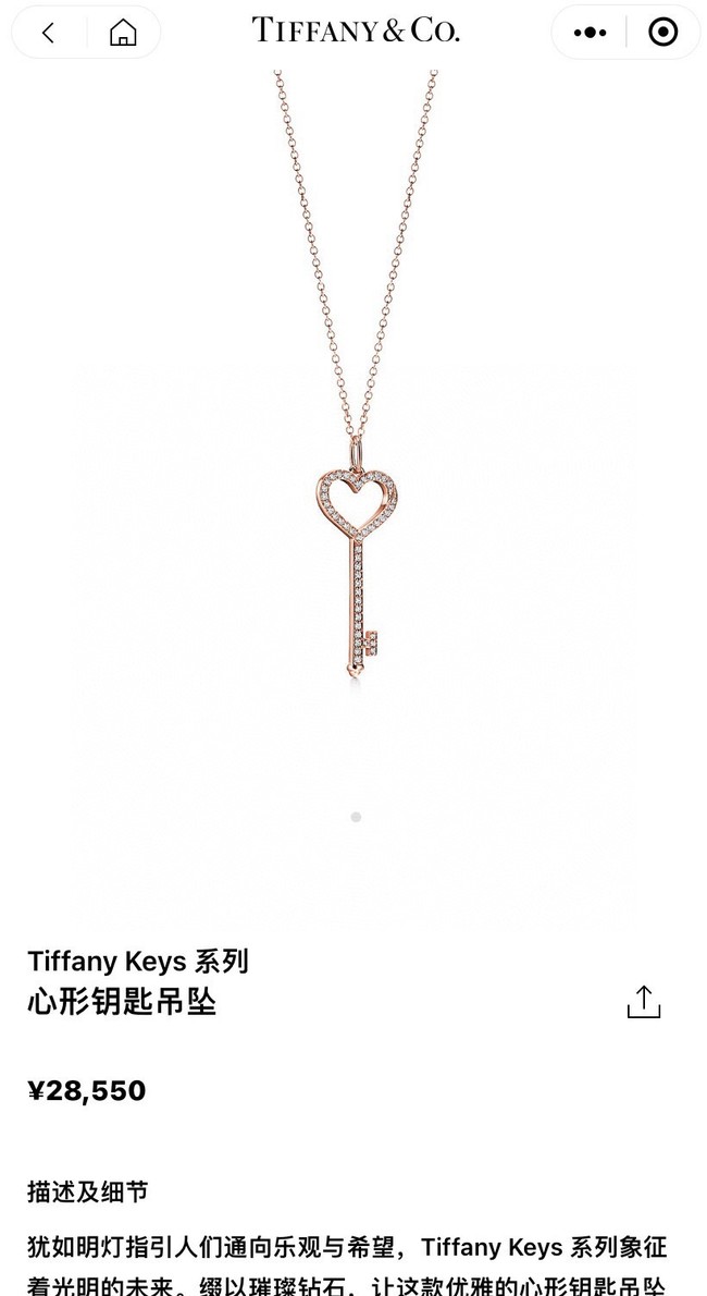 TIFFANY Necklace CE8060