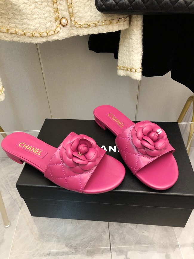 Chanel slipper 65121-4