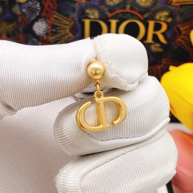 Dior Earrings CE8096