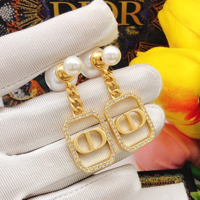 Dior Earrings CE8099