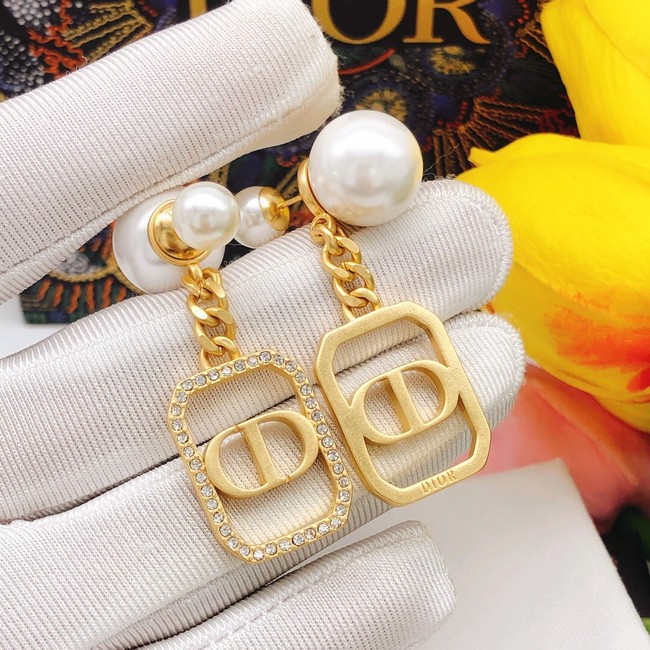 Dior Earrings CE8099