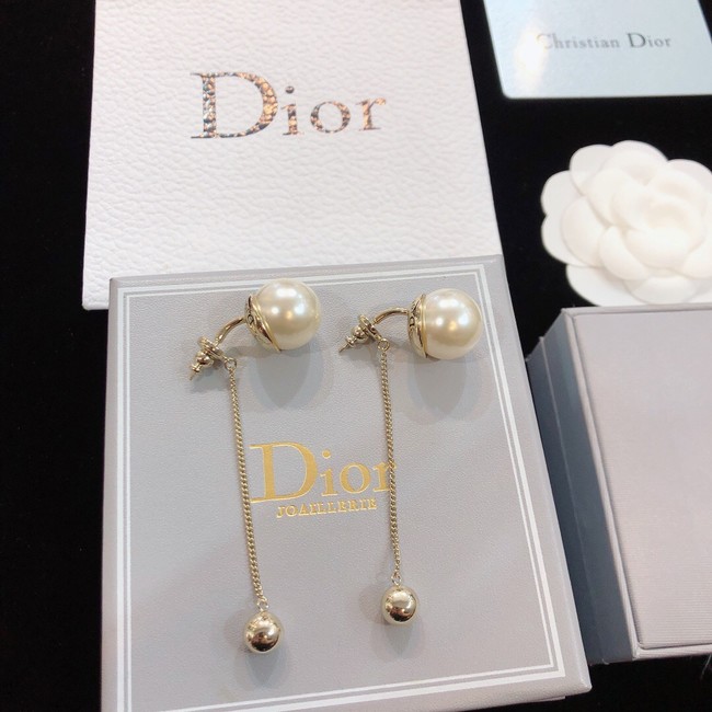 Dior Earrings CE8172