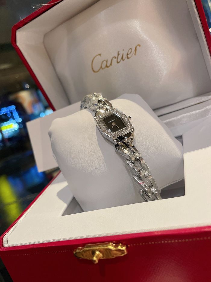 Cartier Watch CTW00049