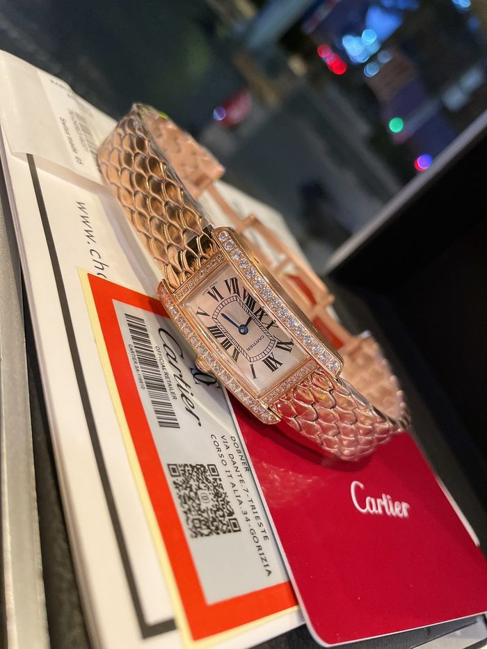 Cartier Watch CTW00085