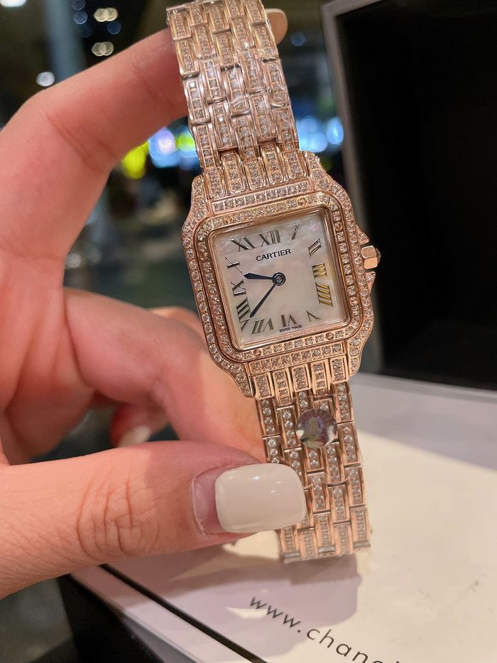 Cartier Watch CTW00120-1