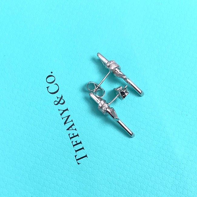 TIFFANY Earrings CE8293