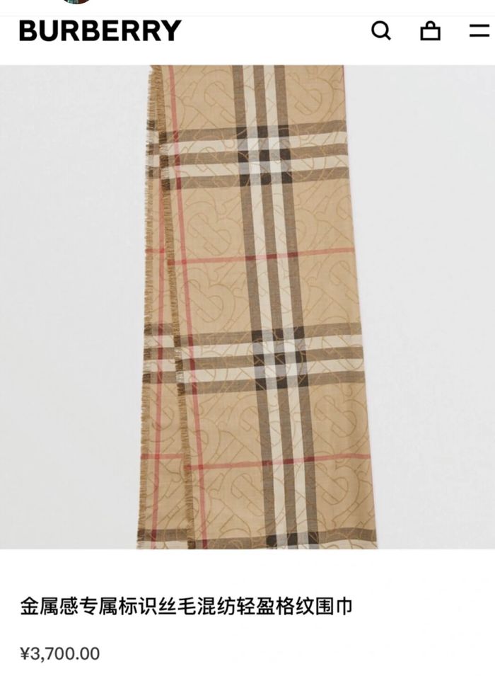 Burberry Scarf BBS00013