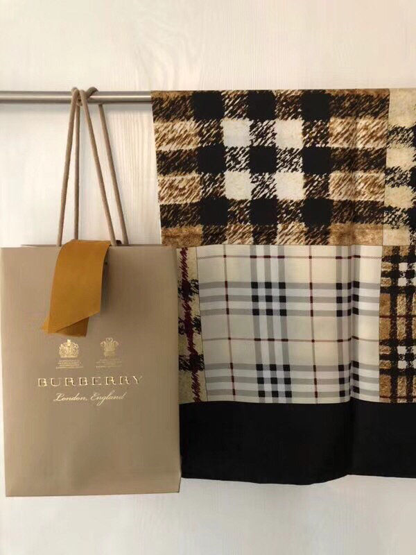 Burberry Scarf BBS00019