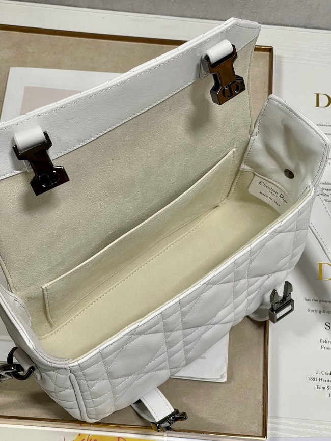 DIOR BOBBY BAG leather 6619 white