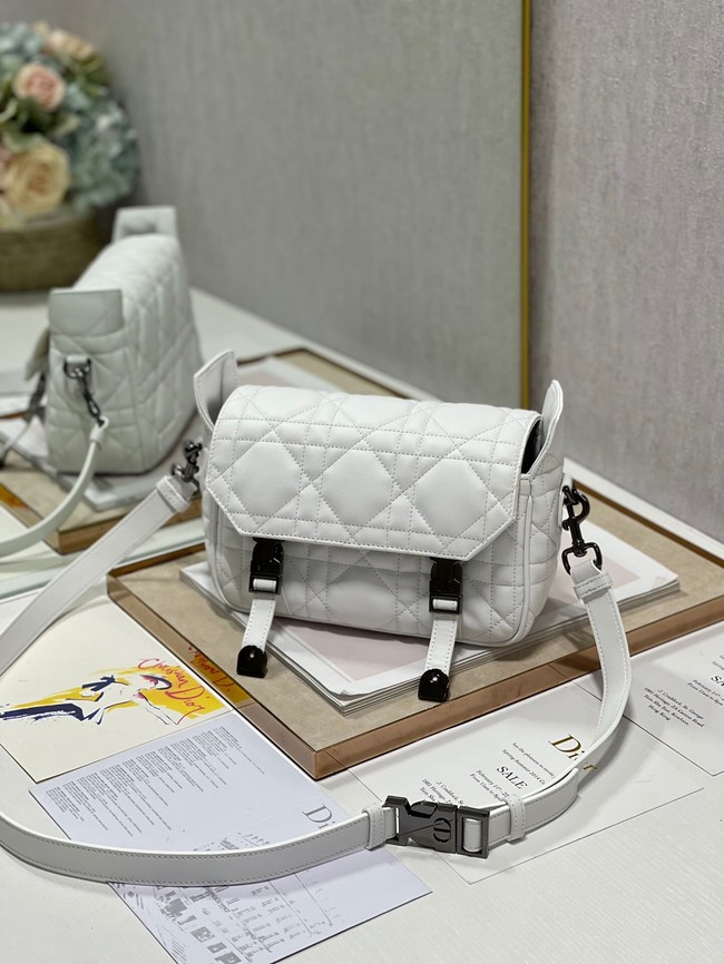 DIOR BOBBY BAG leather 6619 white