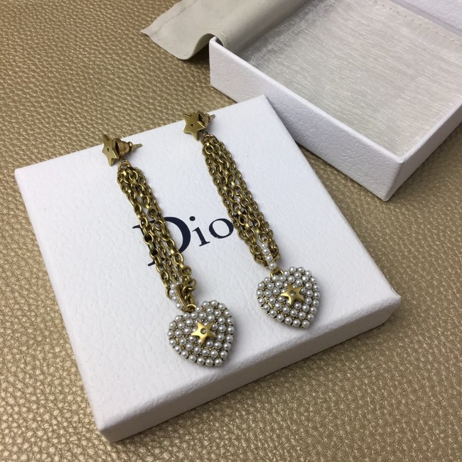 Dior Earrings CE8365