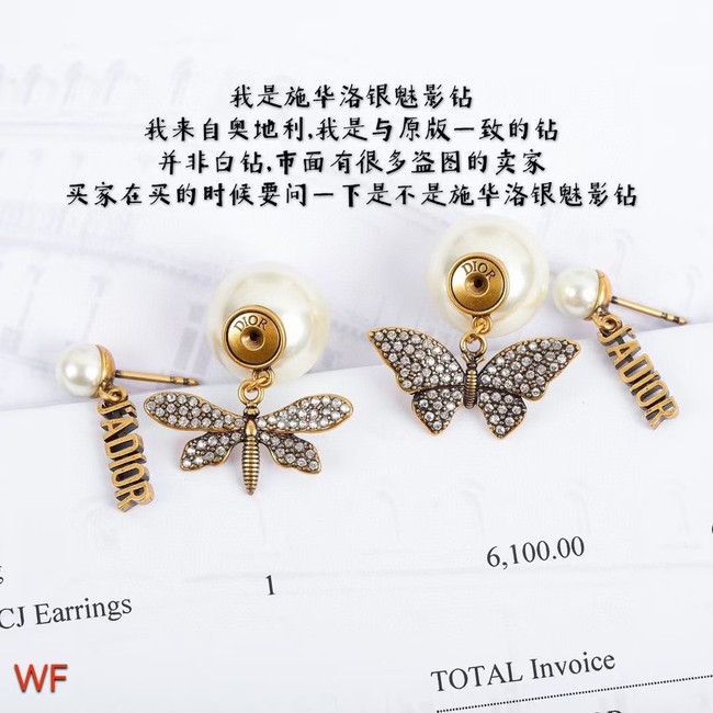 Dior Earrings CE8383