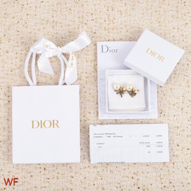 Dior Earrings CE8383