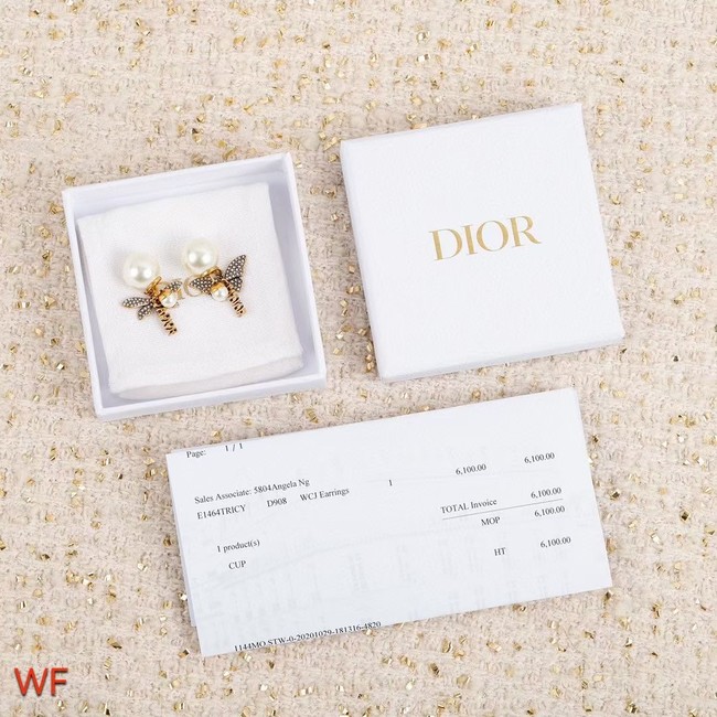 Dior Earrings CE8383