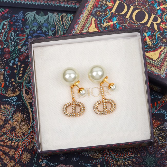 Dior Earrings CE8387