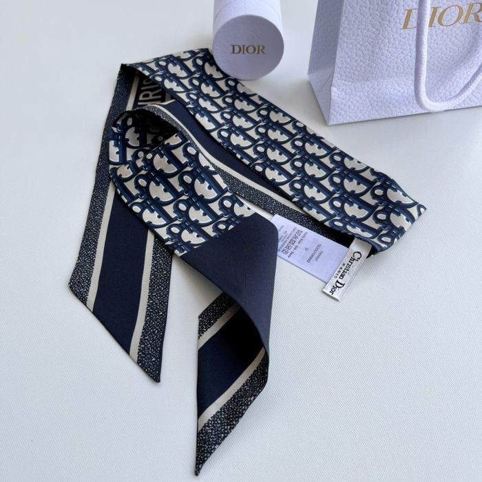 Dior Scarf DIS00006