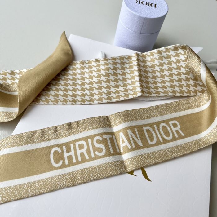 Dior Scarf DIS00011