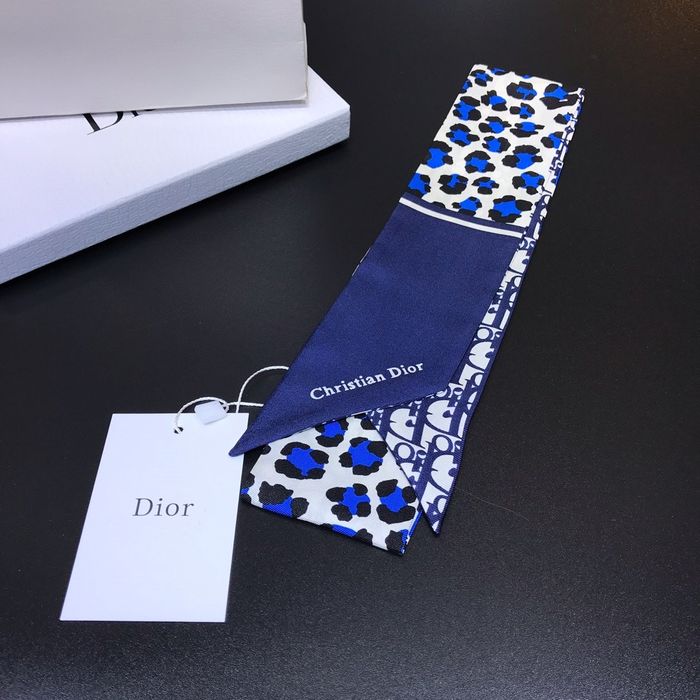 Dior Scarf DIS00015