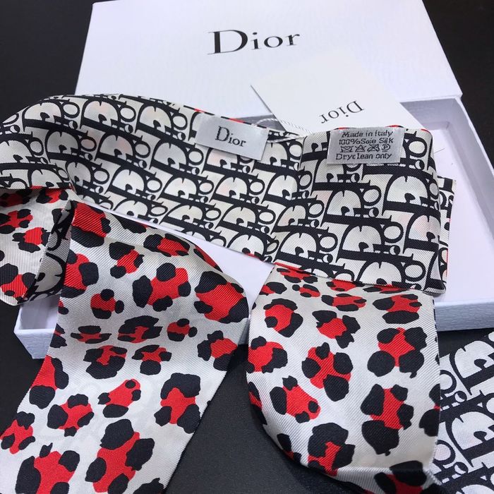 Dior Scarf DIS00016