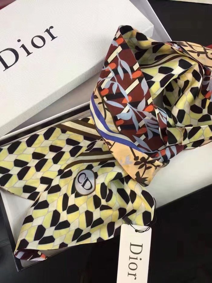 Dior Scarf DIS00017