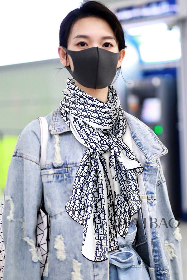 Dior Scarf DIS00022