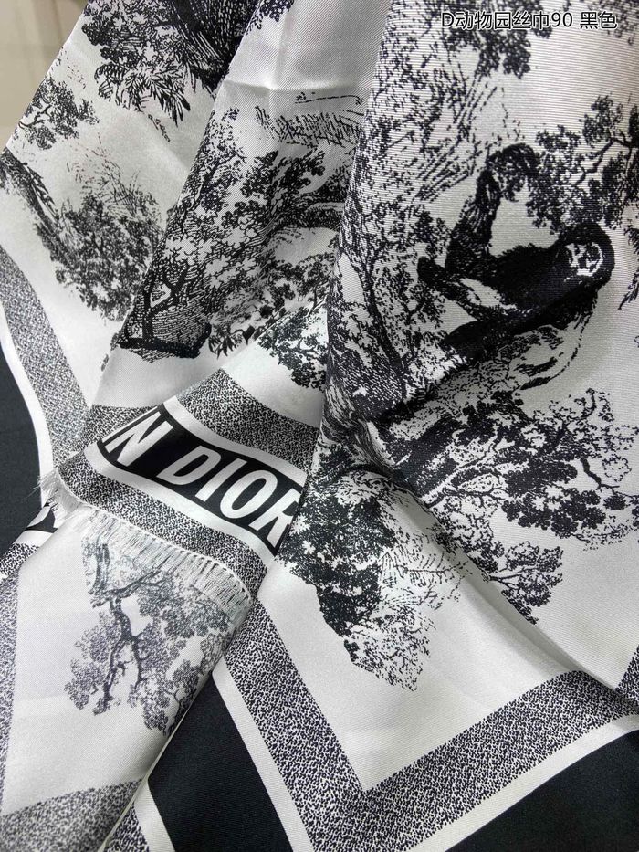 Dior Scarf DIS00026