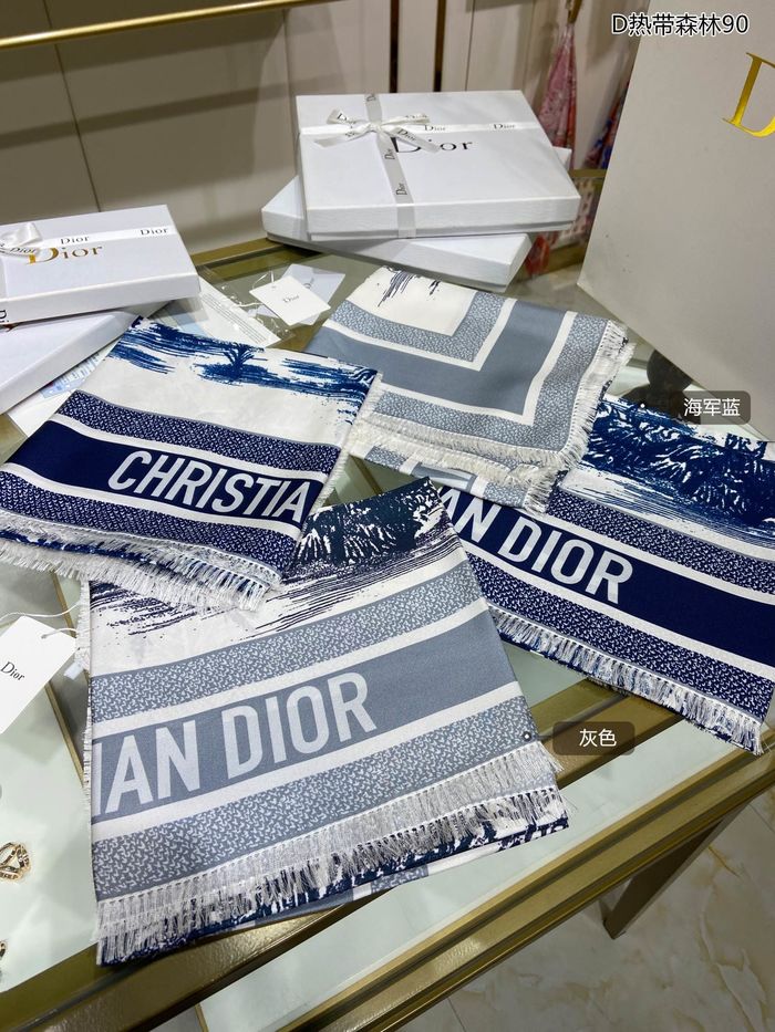 Dior Scarf DIS00034