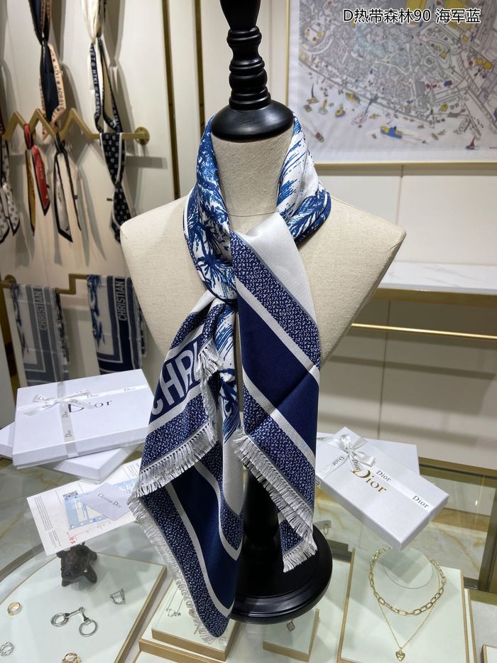 Dior Scarf DIS00034