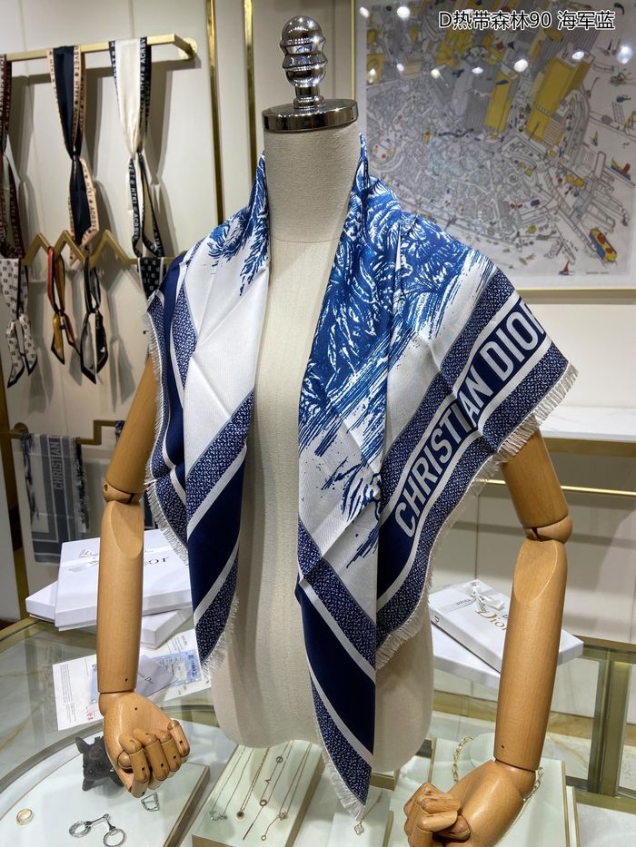 Dior Scarf DIS00034