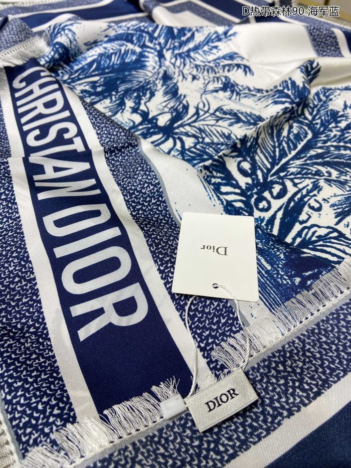 Dior Scarf DIS00034