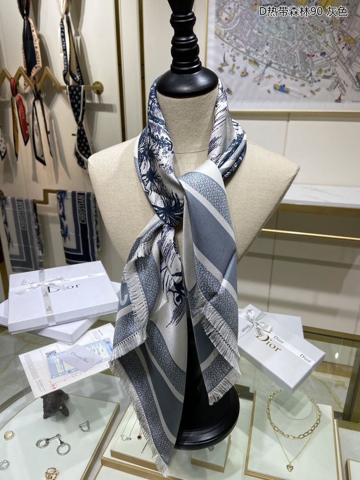 Dior Scarf DIS00035