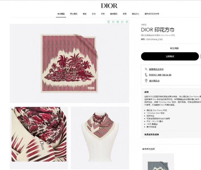 Dior Scarf DIS00039