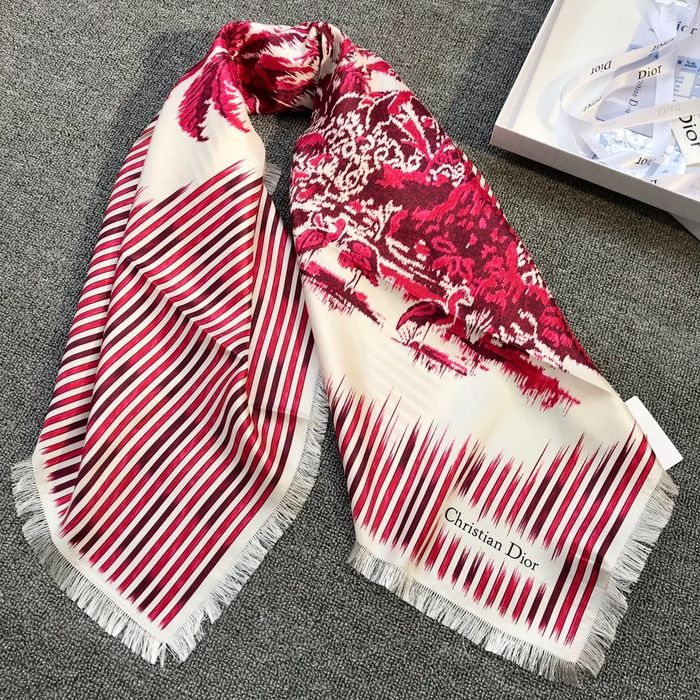 Dior Scarf DIS00039