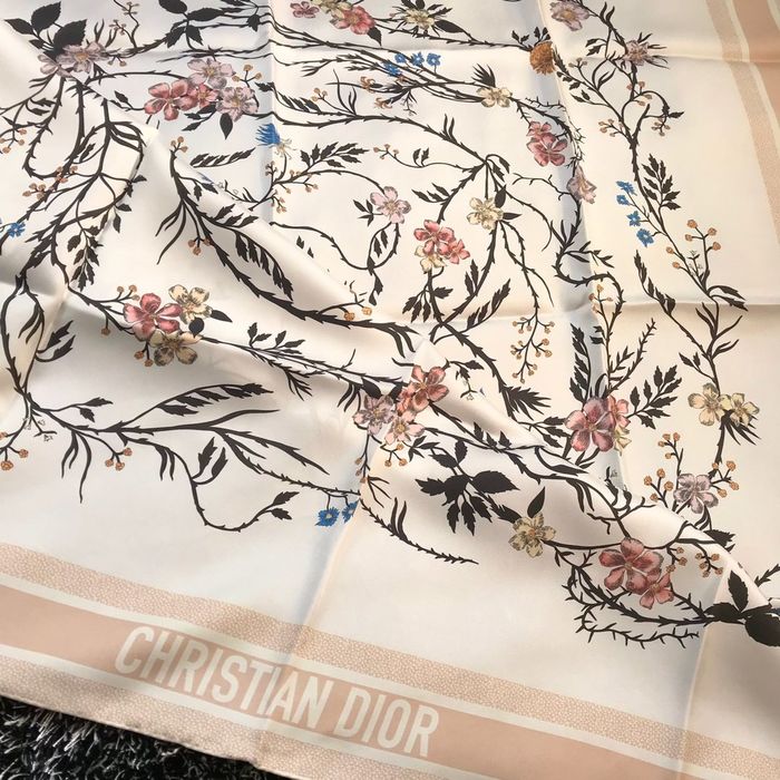 Dior Scarf DIS00044