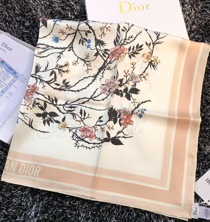 Dior Scarf DIS00044