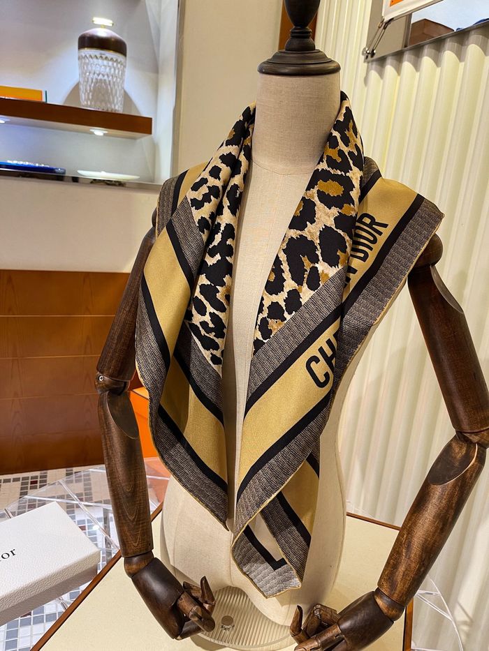 Dior Scarf DIS00058