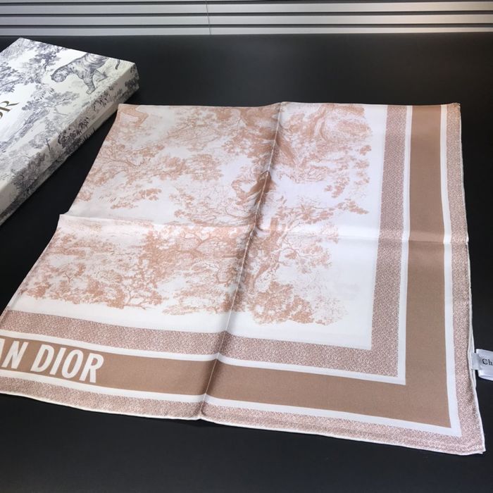 Dior Scarf DIS00060