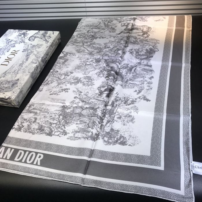 Dior Scarf DIS00061