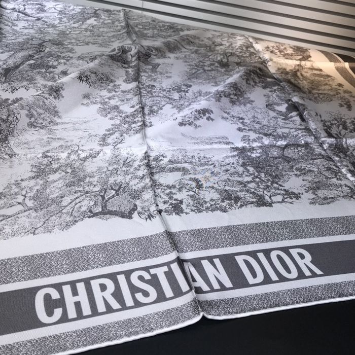 Dior Scarf DIS00061