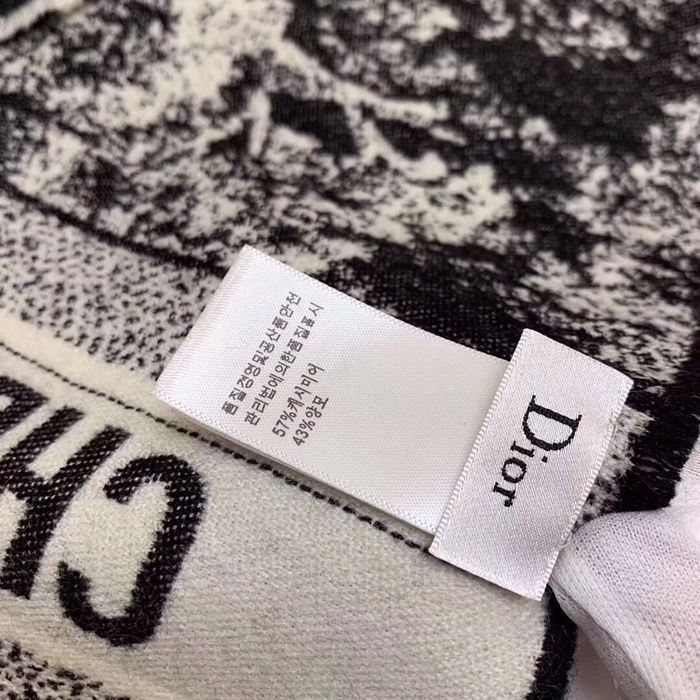 Dior Scarf DIS00067