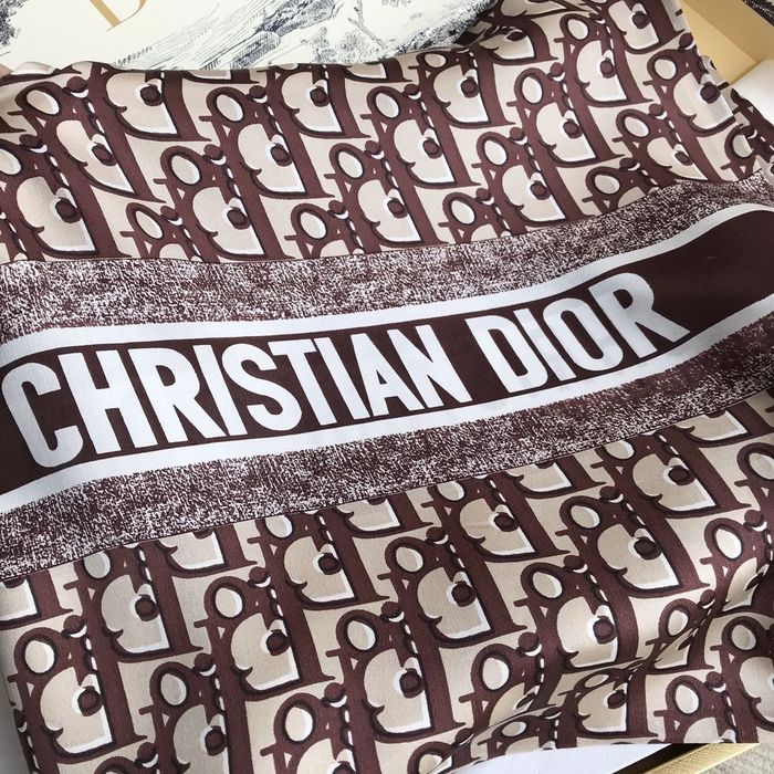 Dior Scarf DIS00073