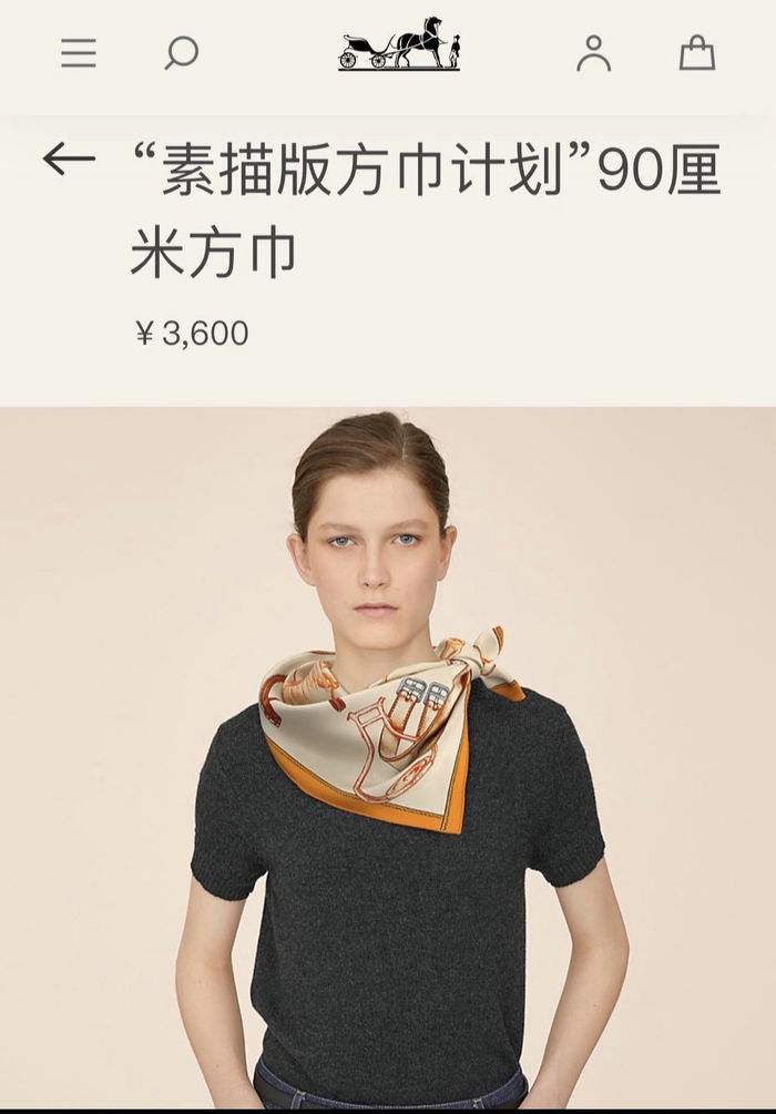 Hermes Scarf HMS00087