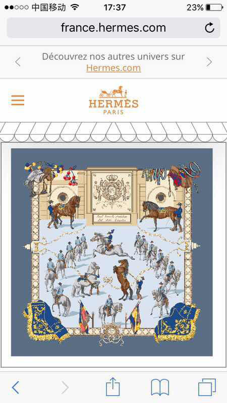 Hermes Scarf HMS00175