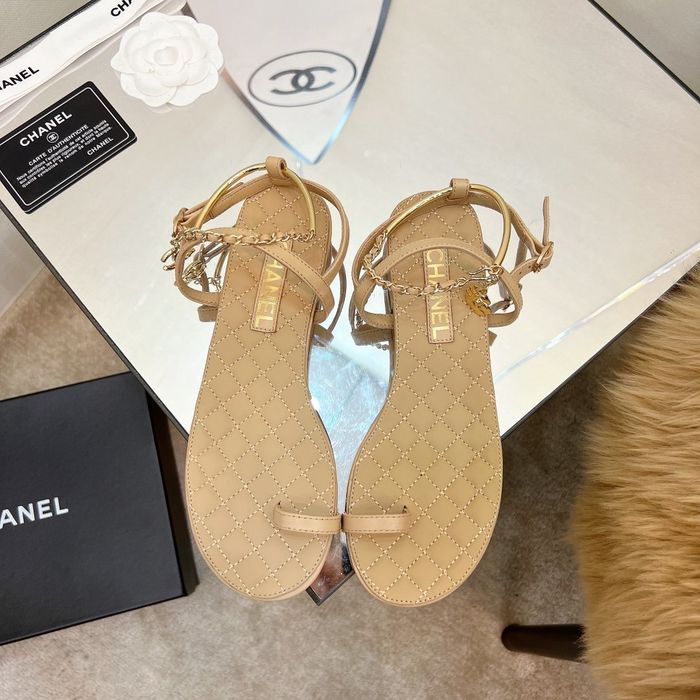 Chanel Shoes CHS00296